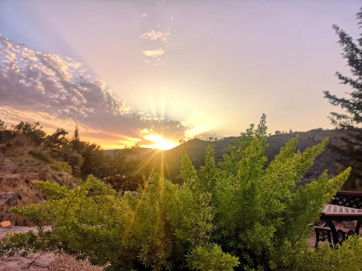 Panorama Suite Пьяцца-Армерина Экстерьер фото